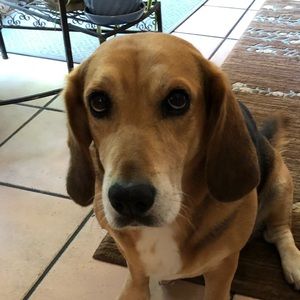 Meet your Posher, Katelyn